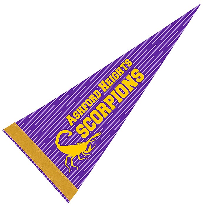 Custom Pennant 8 inches x 18 inches - White - Full Colour